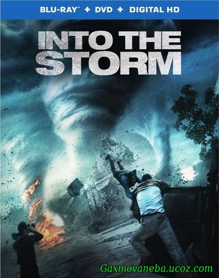 Into the Storm / ქარიშხალი
