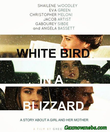 თეთრი ფრინველი ქარბუქში / White Bird in a Blizzard