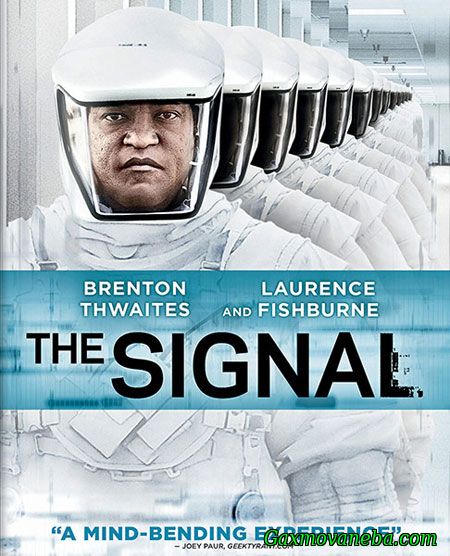 სიგნალი / The Signal (ქართულად)