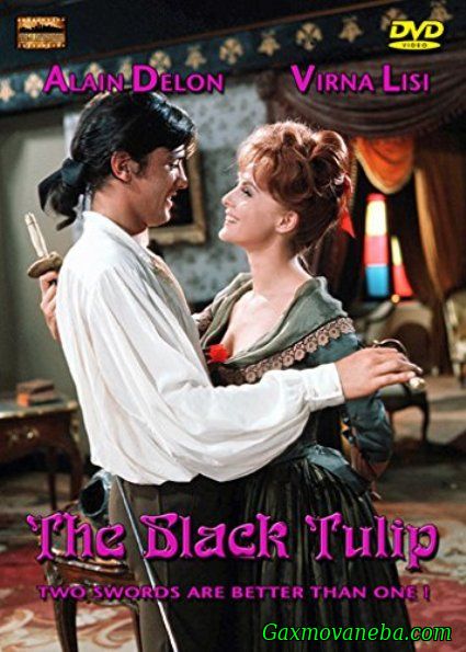 შავი ტიტა / The Black Tulip