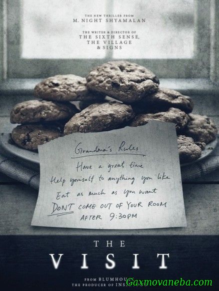ვიზიტი / The Visit (ქართული)