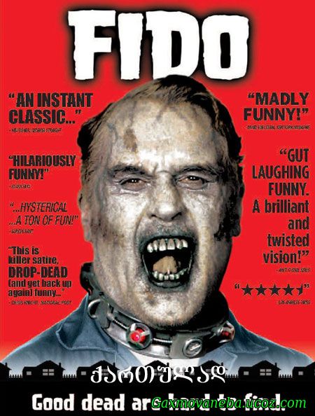 Fido / ფიდო (ქართულად)