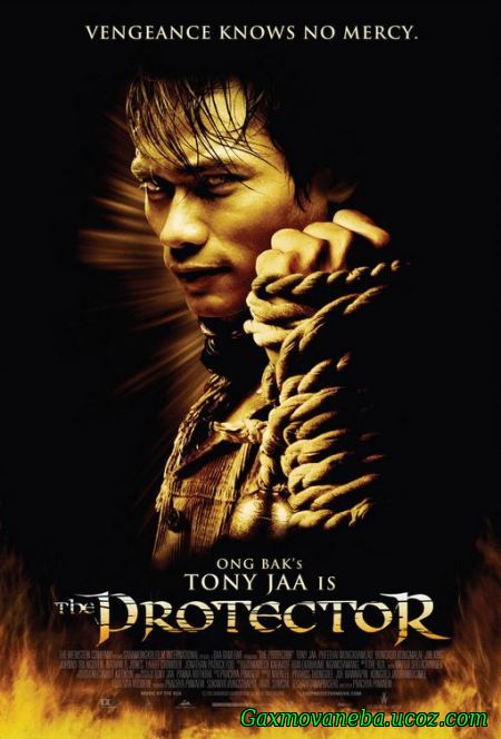The Protector / დრაკონის ღირსება (ქართულად)