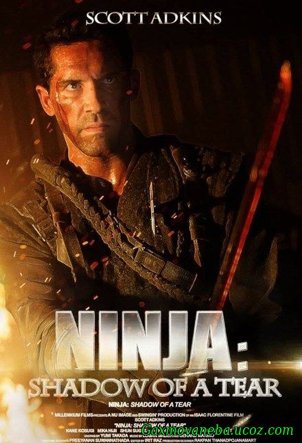 Ninja: Shadow of a Tear / ნინძა 2 (ქართულად)