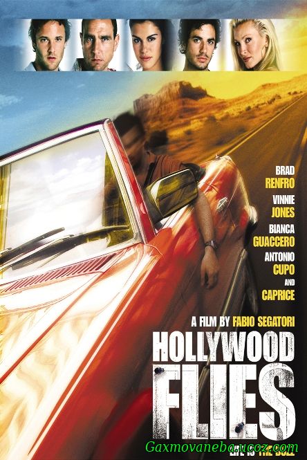 Hollywood Flies / მძარცველები ჰოლივუდიდან (ქართულად)